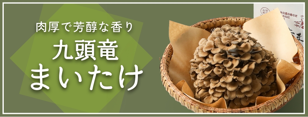 九頭竜まいたけ