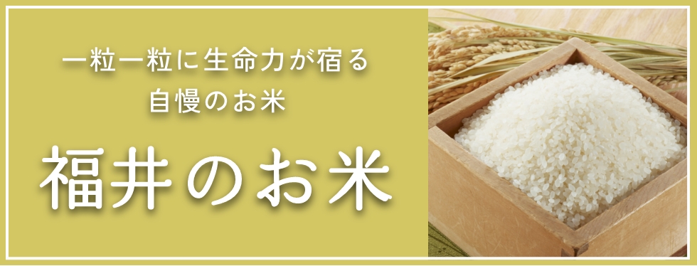 福井のお米