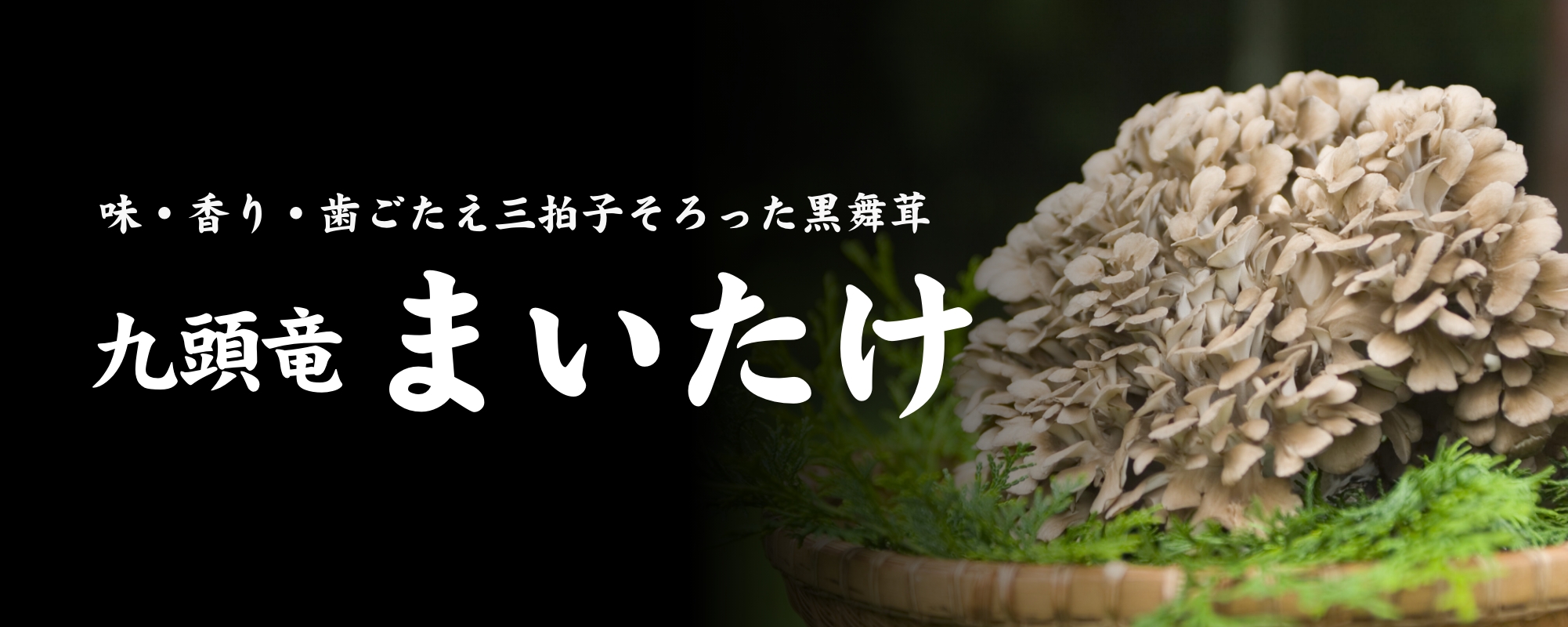 味・香り・歯ごたえ三拍子そろった黒舞茸