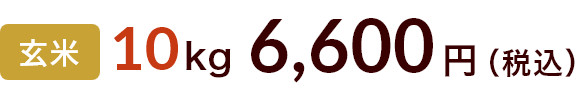 10kg 6600円