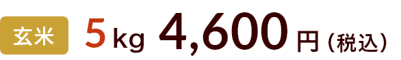 5kg 4600円