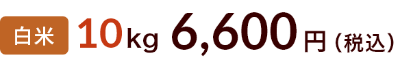 10kg 6600円
