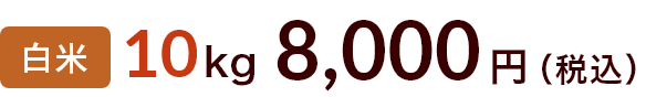 10kg 6600円