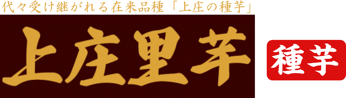 代々受け継がれる在来品種「上庄の種芋」