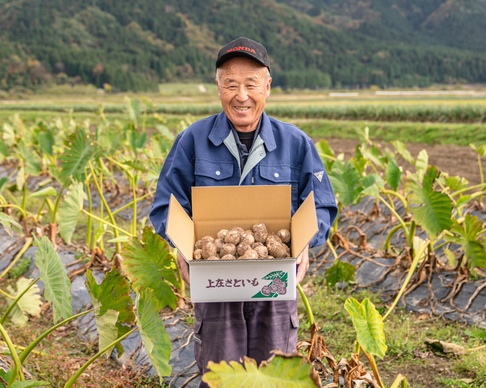 上庄里芋を販売！農家直送で里芋お届け、里芋の煮物レシピ付き(里芋市場)